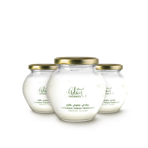 Fresh Organic Yoghurt
