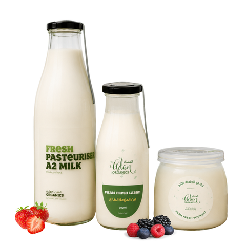 Dairy Bundle