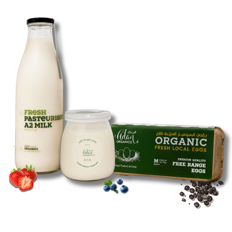 Essentials Bundle